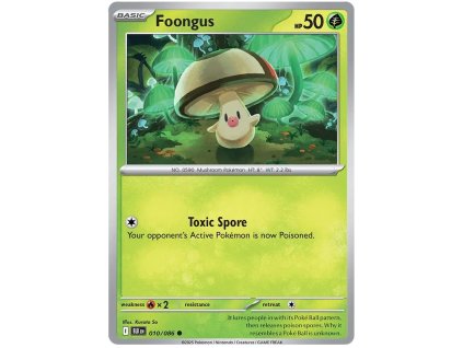 Foongus.BLK.10.58193