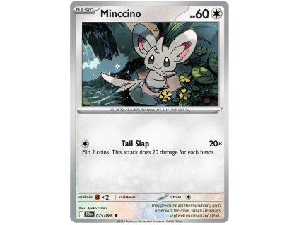 Minccino.BLK.75.58257
