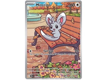 Minccino.BLK.152.58333