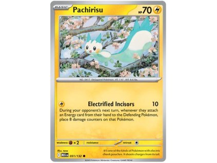 Pachirisu.MEG.51.59165