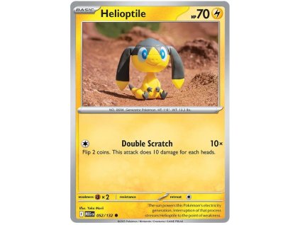 Helioptile.MEG.52.59315