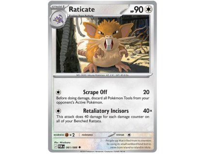 Raticate.POR.61.61103