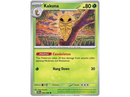 Kakuna.CRI.2.61305