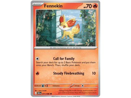 Fennekin.CRI.11.61313