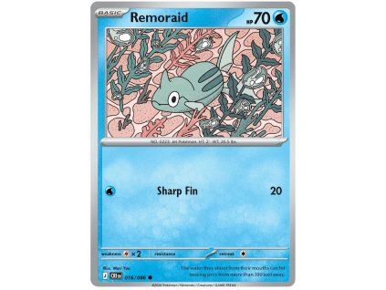 Remoraid.CRI.16.61317