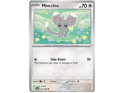 Minccino.CRI.72.61262