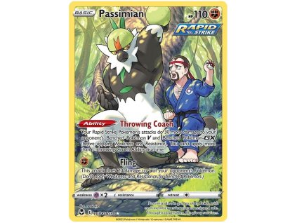 Passimian.SWSH12TG.TG8.45591