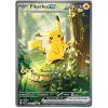 Pikachu ex.ASC.276.60547