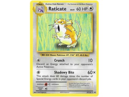 Raticate.EVO.67