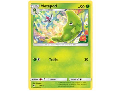 Metapod.HIF.2.29573