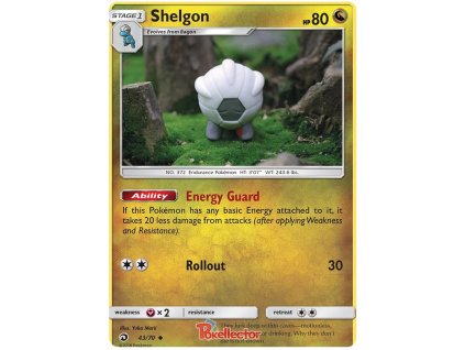 Shelgon.DRM.43.23574