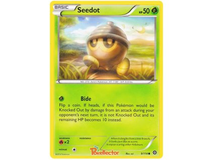 Seedot.STS.9