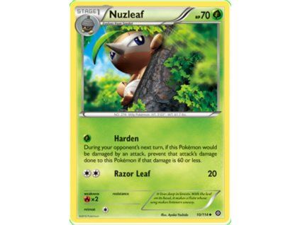 Nuzleaf.STS.10
