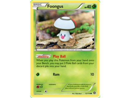 Foongus.STS.12