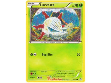 Larvesta.STS.14