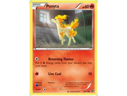 Ponyta.STS.16