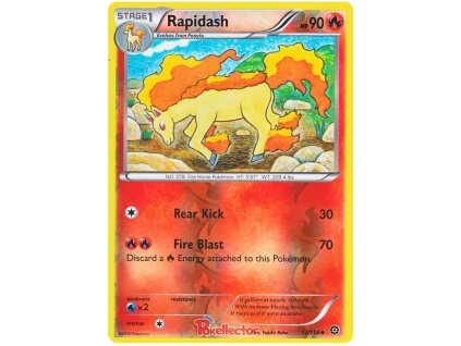 Rapidash.STS.17