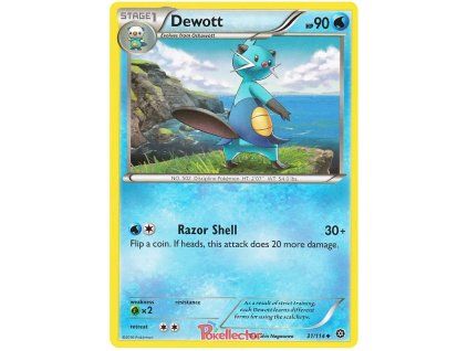 Dewott.STS.31