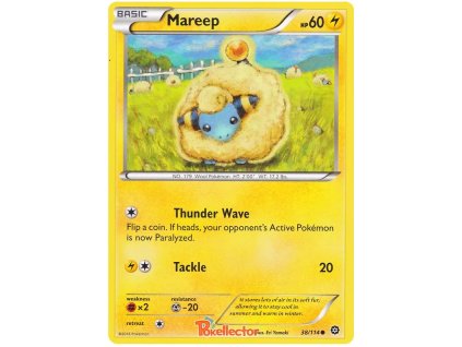 Mareep.STS.38