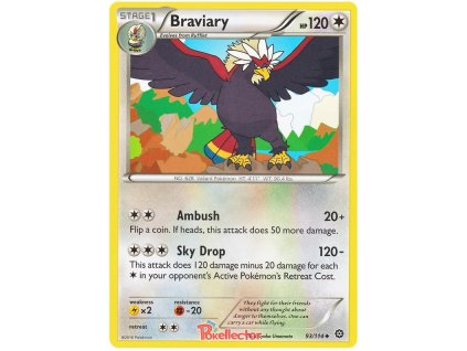 Braviary.STS.93