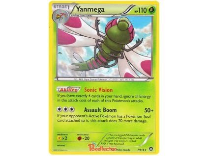 Yanmega.STS.7