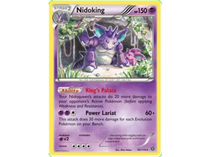 Nidoking.STS.45++