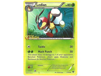 Ledian.XY.7