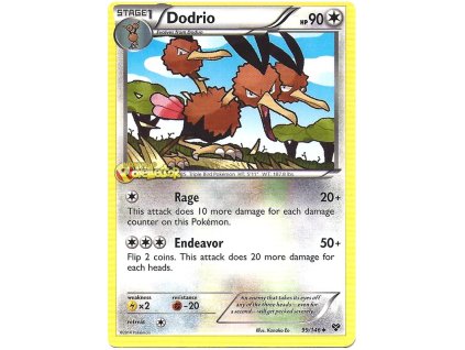 Dodrio.XY.99