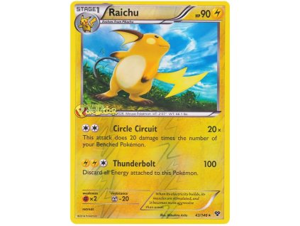 Raichu.XY.43++