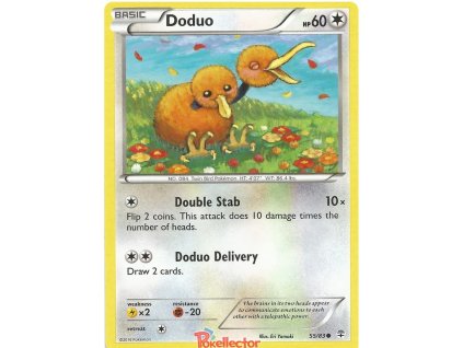 Doduo.GEN.55