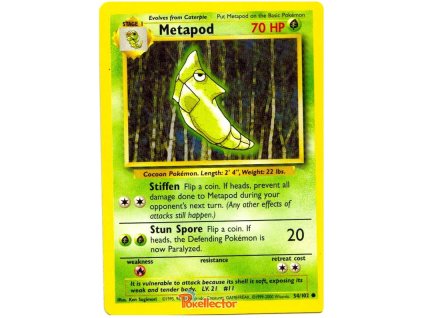 Metapod.BS.54