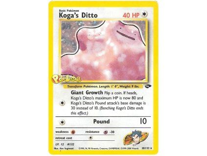 Kogas Ditto.G2.10