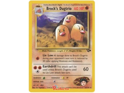 Brocks Dugtrio.G2.22