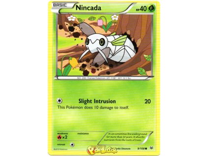 Nincada.RSK.9