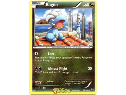 Bagon.RSK.55