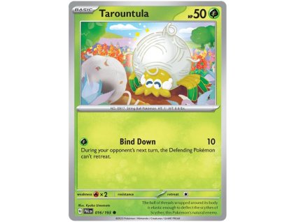 Tarountula.PAL.16.47822