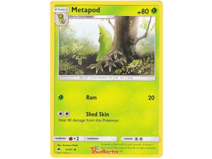 CUC002Metapod.BSH.2.18355