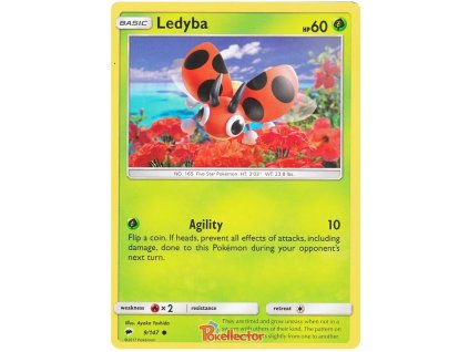 CUC009Ledyba.BSH.9.18362