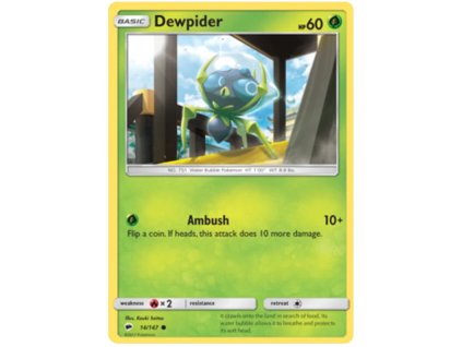 CUC014Dewpider.BSH.14.18367