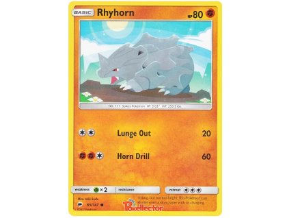 CUC065Rhyhorn.BSH.65.18445