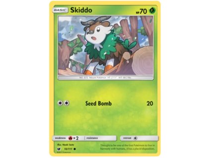 C010Skiddo.CNV.10.19703