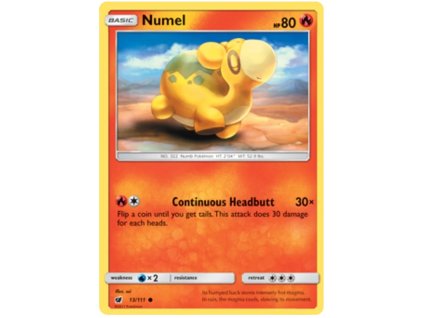 C013Numel.CNV.13.19706