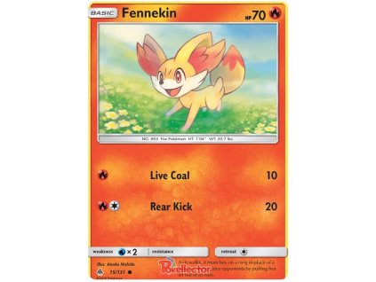 C015Fennekin.FLI.15.20720