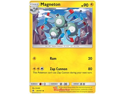 C035Magneton.FLI.35.20739