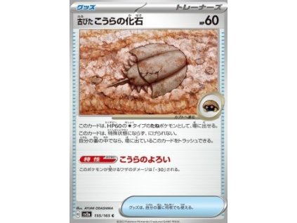 C155OldDomeFossil