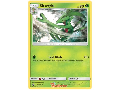 C009Grovyle.CES.9.22621