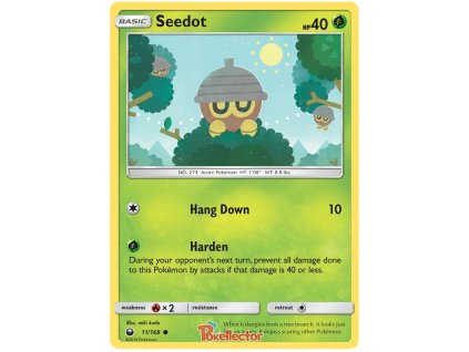 C011Seedot.CES.11.22623