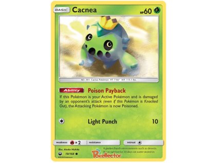 C019Cacnea.CES.19.22631