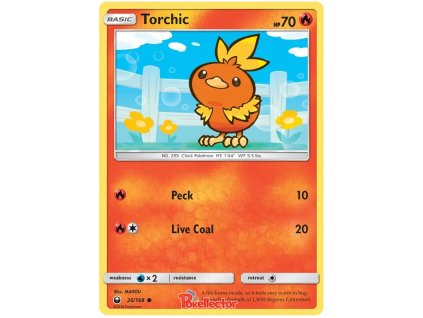 C026Torchic.CES.26.22638