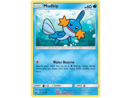C032Mudkip.CES.32.22643